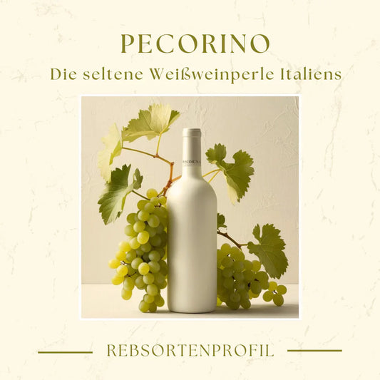 Mehr als nur Käse: Pecorino-Wein im Profil