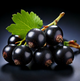 Cassis