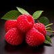 Himbeere